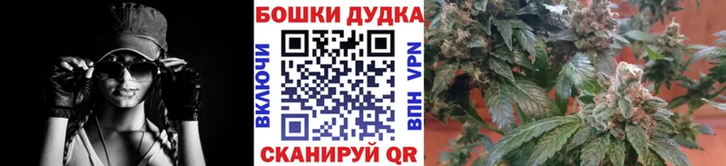 Шишки марихуана VHQ  МЕГА ONION  Благодарный 